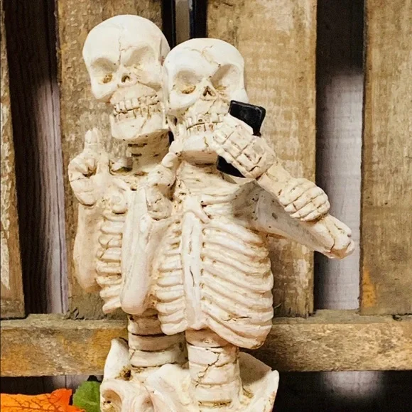 Skeleton Selfie Couple - Picture 4 of 10